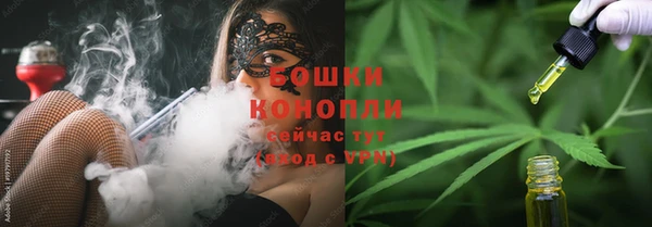 молекула духа Анива