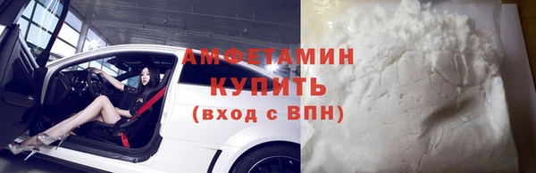 мет Алексин