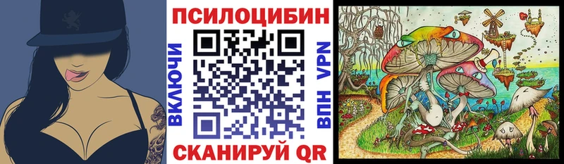KRAKEN   Минусинск  Галлюциногенные грибы прущие грибы 